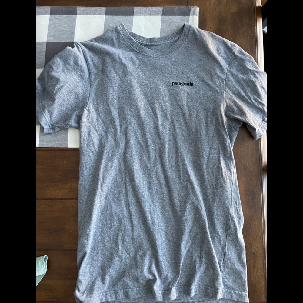 Men’s Patagonia tee